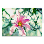 Tiffany Magnolia (Front Horizontal)