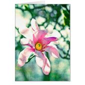 Tiffany Magnolia (Front)