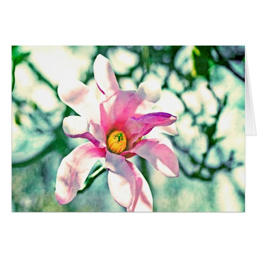 Tiffany Magnolia Cards (Front Horizontal)