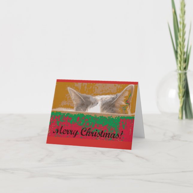Tiffany wishes you a Merry Christmas Holiday Card (Front)