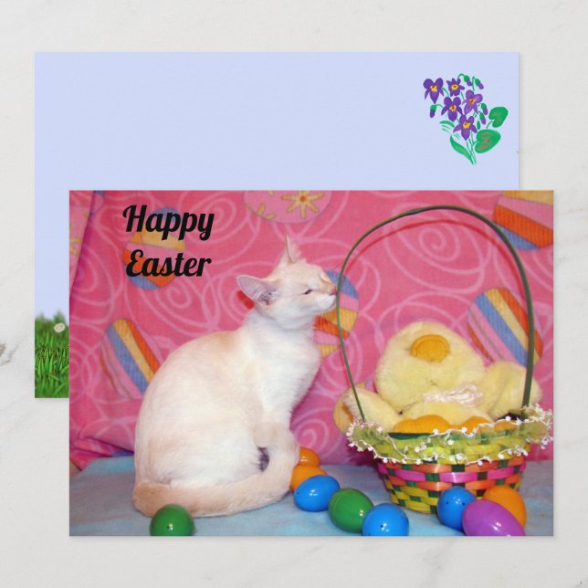 Tiffany's Easter Basket = Cat - Flat Card (Front/Back)