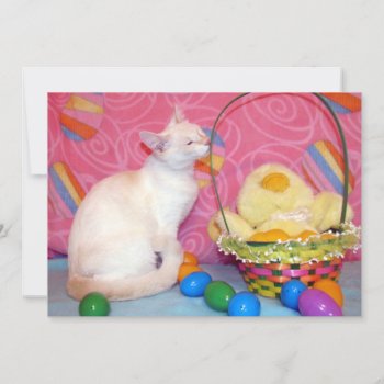 Tiffanys Easter Basket - Cat/ Kitten  - Flat Card