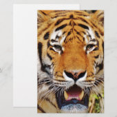 Tiger (Front/Back)