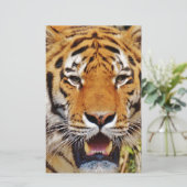 Tiger (Standing Front)