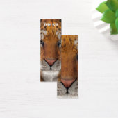 Tiger (Desk)
