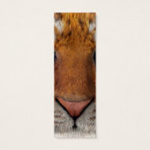 Tiger (Back)