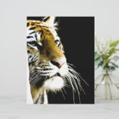 Tiger (Standing Front)