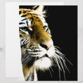 Tiger (Front/Back)