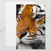 Tiger (Front/Back)
