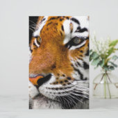Tiger (Standing Front)