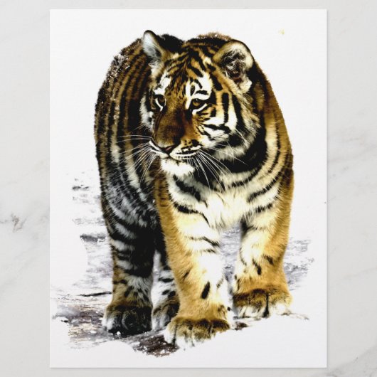 Tiger (Front)