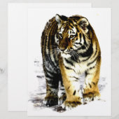 Tiger (Front/Back)