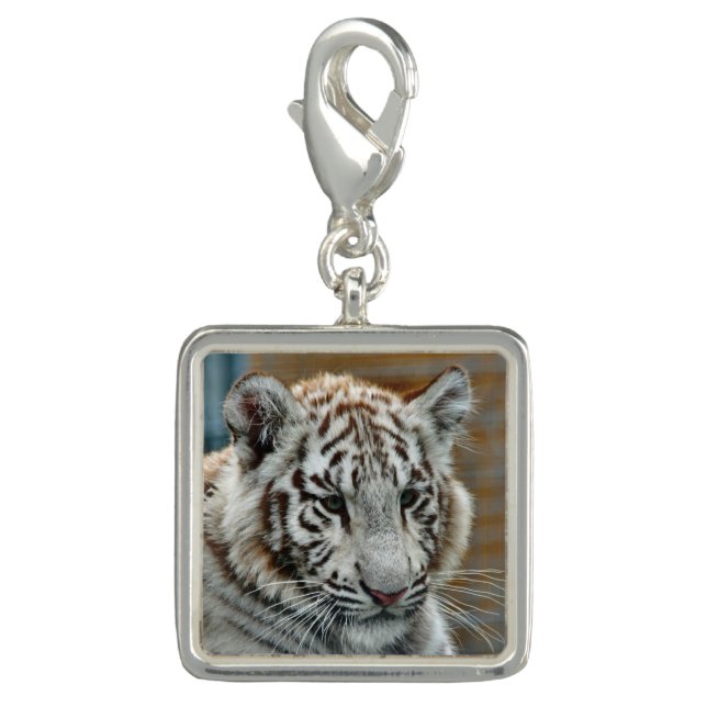 Tiger20151001 Charm (Front)