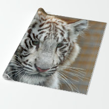 Tiger20151001