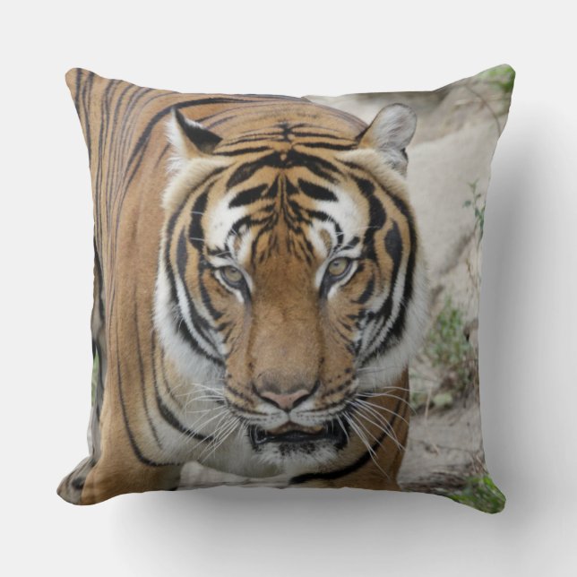 Tiger_001 Throw Pillow (Front)