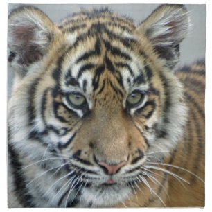 Tiger 002 napkin