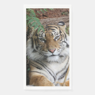 Tiger 005 paper guest towels