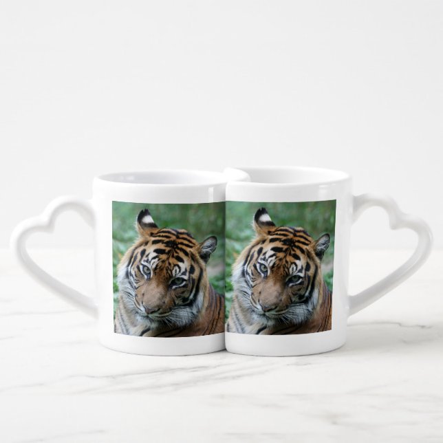 Tiger 013 coffee mug set (Front Nesting)