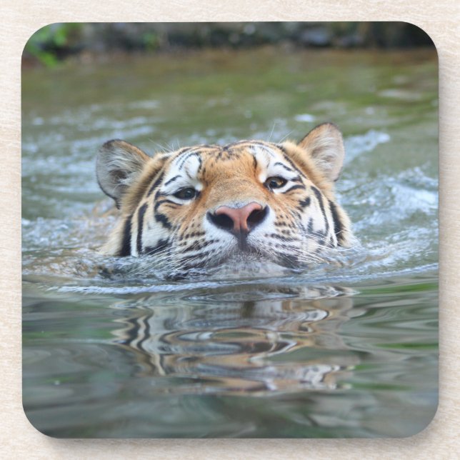Tiger 028 beverage coaster (Front)