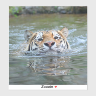 Tiger 028 sticker