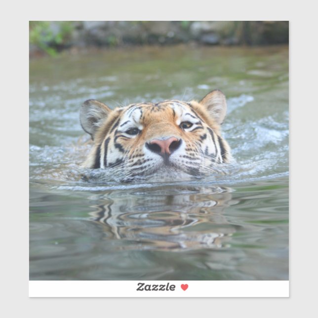 Tiger 028 sticker (Sheet)