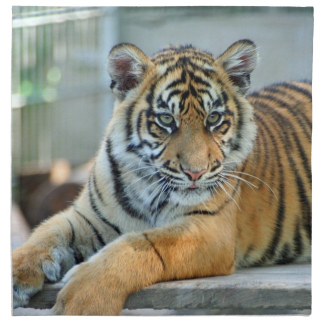 Tiger 034 cloth napkin (Front)