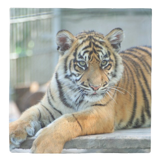 Tiger 034 duvet cover (Front)