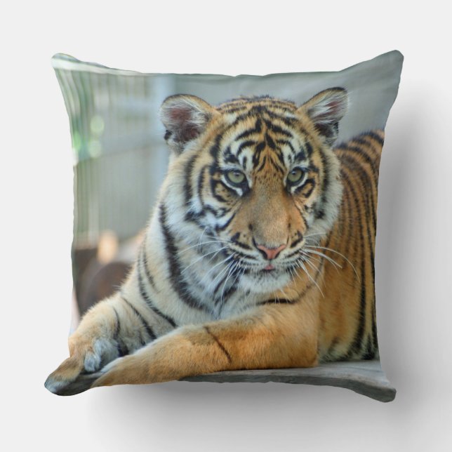 Tiger 034 throw pillow (Front)