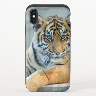 Tiger 034 iPhone x slider case