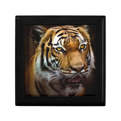 Tiger 1 gift box