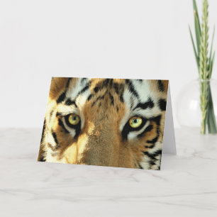 Tiger 1 - Greeting Card