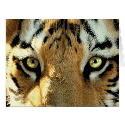 Tiger 1 - Greeting Card (Front Horizontal)