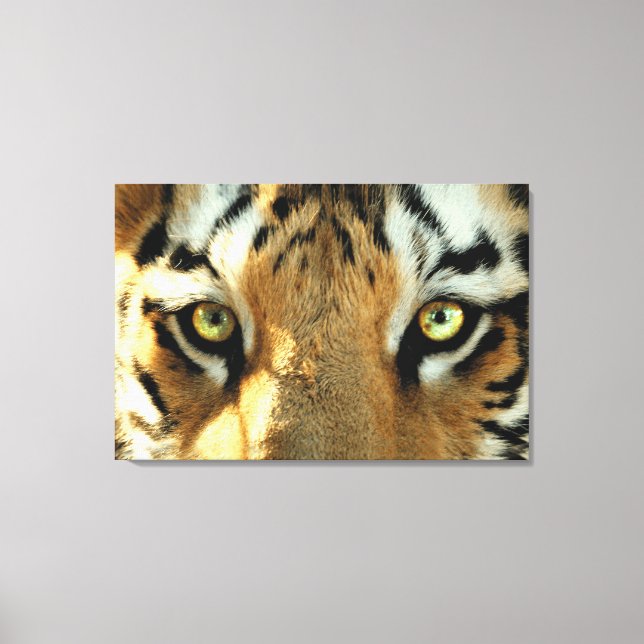 Tiger 1 - Wrapped Canvas Print (Front)