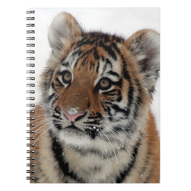 Tiger_2015_0114 Notebook (Front)