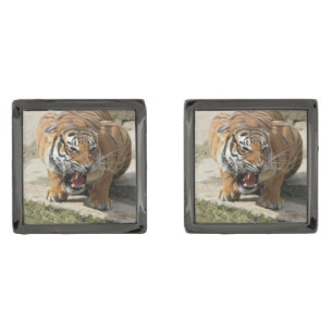 Tiger_2015_0156 Cufflinks