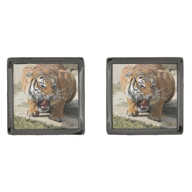 Tiger_2015_0156 Cufflinks (Front)