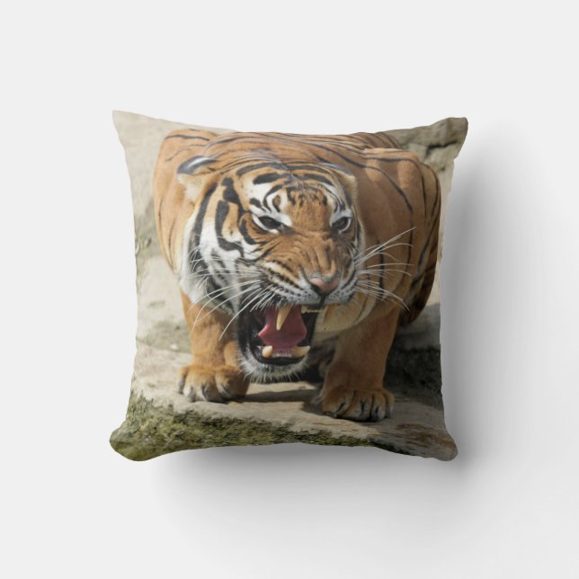 Tiger_2015_0156 Throw Pillow (Front)