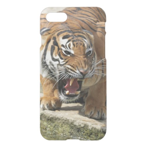 Tiger_2015_0156 iPhone SE87 Case