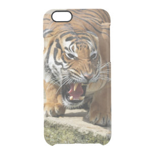 Tiger_2015_0156 Clear iPhone 6/6S Case