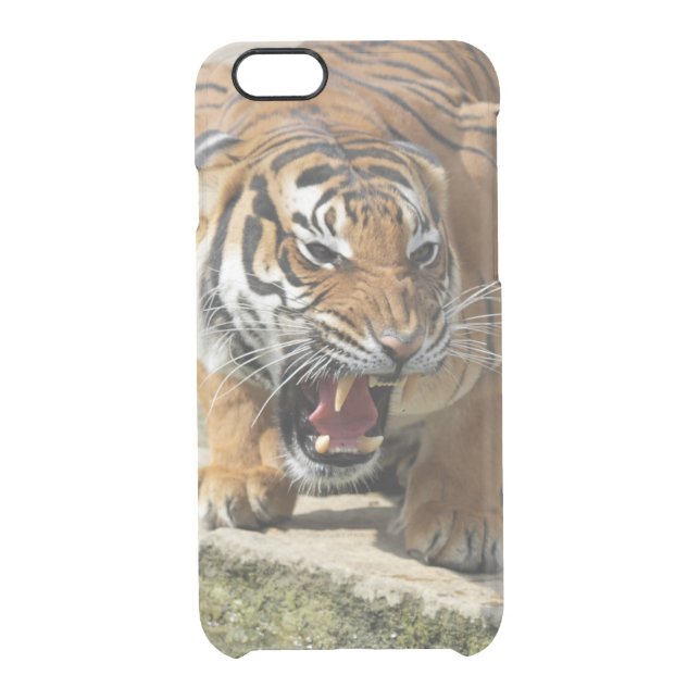 Tiger_2015_0156 Uncommon iPhone Case (Back)