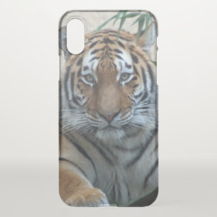 Tiger_20171103_by_JAMFoto iPhone X Case