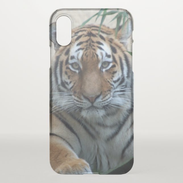 Tiger_20171103_by_JAMFoto Uncommon iPhone Case (Back)