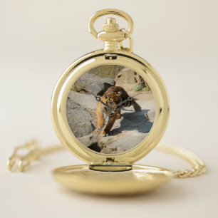 Tiger_20190302_by_JAMFoto Pocket Watch