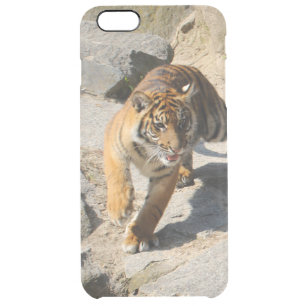 Tiger_20190302_by_JAMFoto Clear iPhone 6 Plus Case
