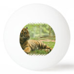 tiger-28 Ping-Pong ball