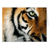 Tiger 2 - Greeting Card (Front Horizontal)