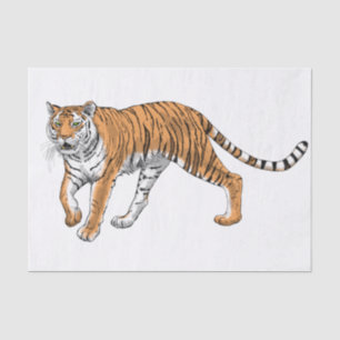 Tiger 2 tissue paper