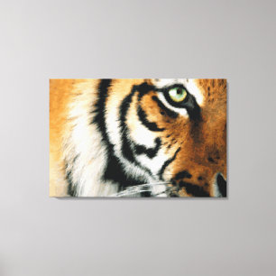 Tiger 2 - Wrapped Canvas Print