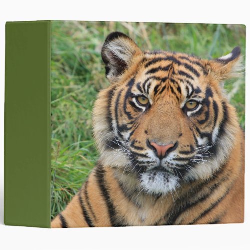 Tiger 3 Ring Binder