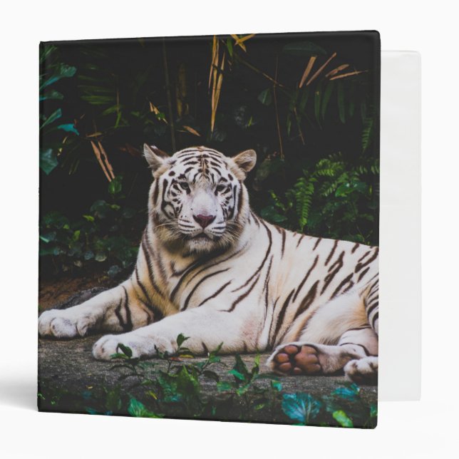 Tiger 3 Ring Binder (Front/Inside)